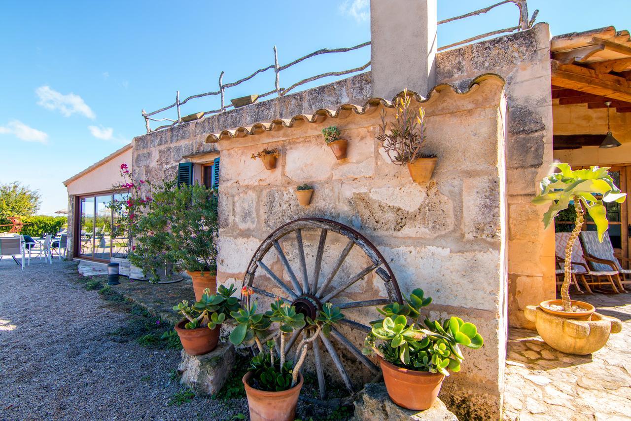 Agroturismo Petit Hotel Son Perdiu - Adults Only Sa Ràpita Екстериор снимка